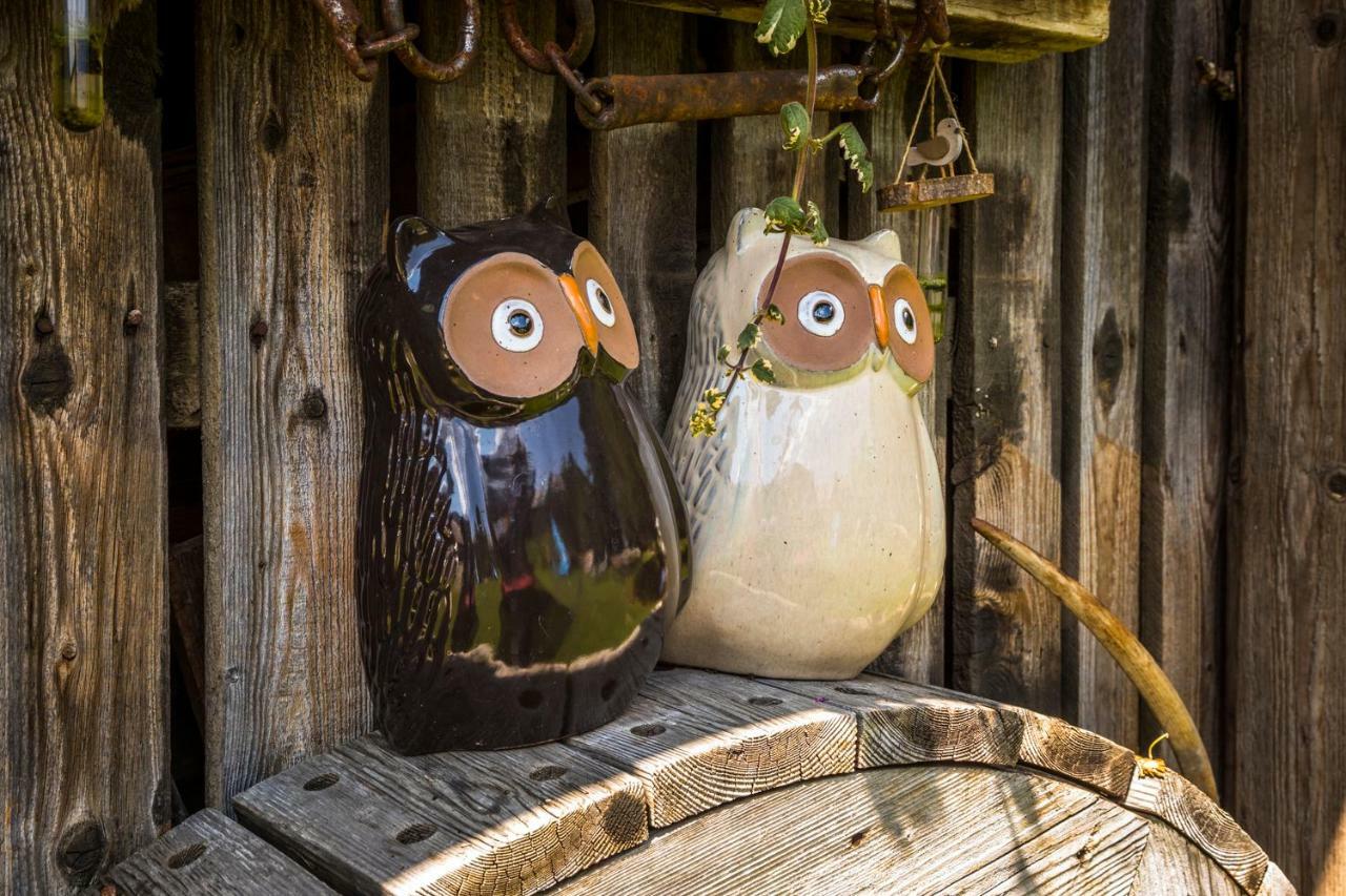 Urbangut Farm stay Sankt Michael im Lungau